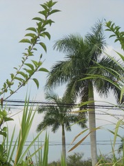 EC78DE06-7640-4F78-B90D-338195EEEFD1/L0/001
