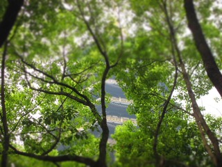 70072D38-E7E4-4A03-8869-03F2AC28761D/L0/001