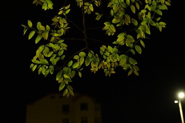 124916