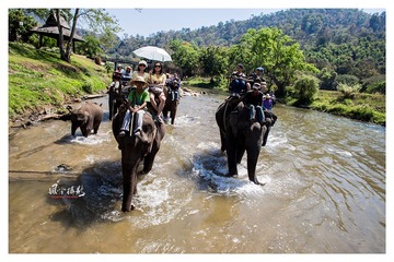 IMG_7636_DxO