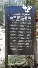 3137541