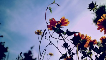 120807