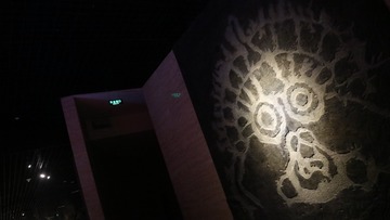 255561