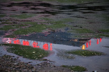 IMG_1925.jpg