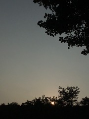 E95DA9C1-8E77-45F1-B07E-FC2EB5CB47AF/L0/001