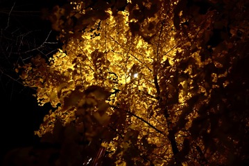 8D572474-4702-4C9D-860C-DF8DFF89DA8C/L0/001
