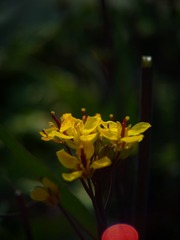 A34CB14B-074D-4202-8A63-3F89F1706050/L0/001