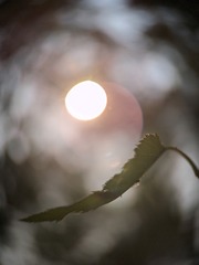 31A089D2-B3EF-41E8-BDDA-57CB1B852F39/L0/001