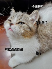 B9ED0DBC-A1AB-40EB-B173-78E1753FEBC5/L0/001