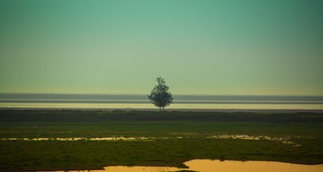 1404250