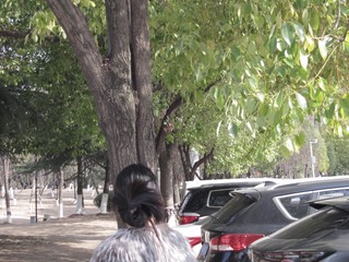58EFE016-B2FB-421B-BC04-AE16D9ECE204/L0/001