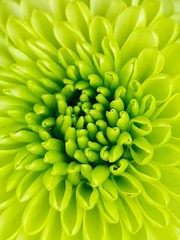 67970