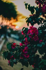 21716600-7F14-4528-8A10-6E8C79F1F59B/L0/001