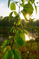 _DSC50961