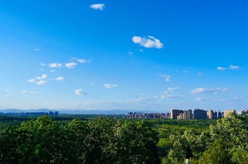 _DSC6253