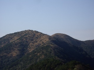 IMGP6262