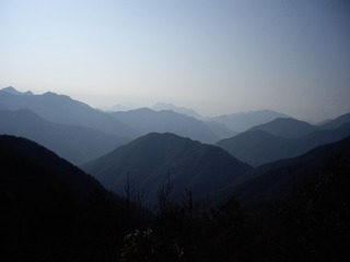 IMGP6273