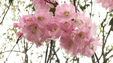 IMG_2326