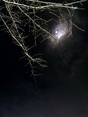 4748189