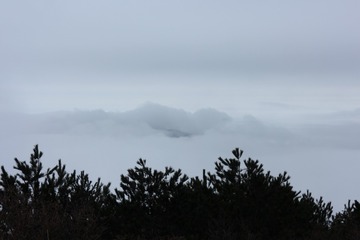 IMG_2064
