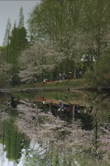 IMG_2620