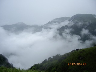 IMGP8915