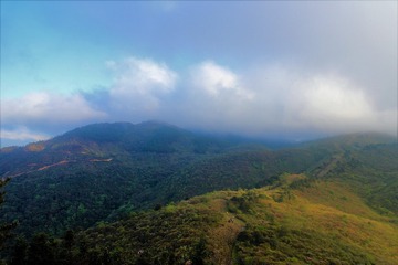 IMG_2349