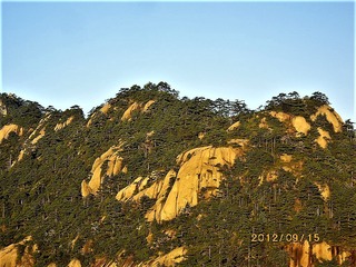 IMGP0296