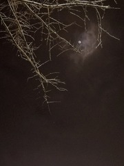 4748188