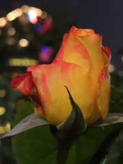 4748154