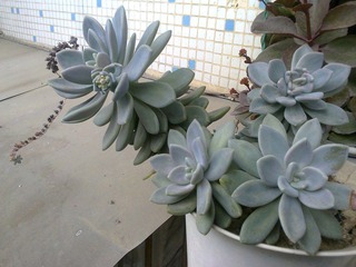 照片0616.jpg
