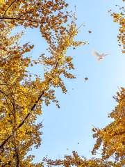 B38B7C48-9644-4505-8430-93FAE2C62E19/L0/001