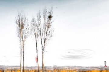 2AEC4C06-16F7-4BDB-B43C-CEF4BAE4A877/L0/001