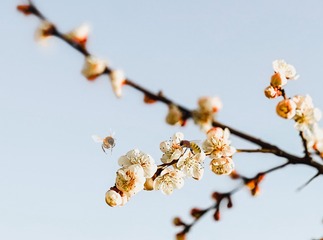 A5BE5A50-F4CE-4C87-AFB7-5F5AE667316F/L0/001
