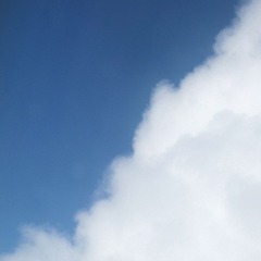 IMG_4606.jpg