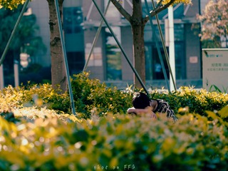5926FEB0-A3A6-437D-92C0-DF0227E7BDFD/L0/001
