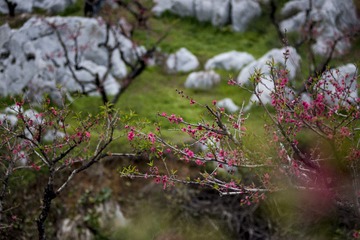 22AC2713-B0FF-4F7C-8B09-914CA4B05732/L0/001