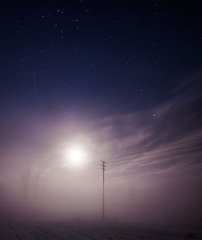 _HZS3687.jpg