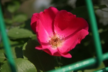 A3BB6ABE-B3CF-46CE-8791-73A52E07F222/L0/001