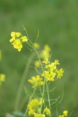 51F47633-41A0-4E1D-B66E-C21529FB2742/L0/001