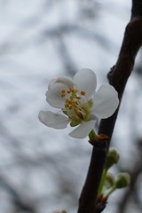 98D9909E-78A9-4F5F-8F05-8D3E838D4110/L0/001