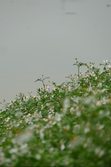 DDEBB9F2-24FC-417D-9A9A-285B0DB8E616/L0/001