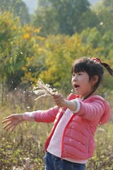 FBE7D829-A7FD-4C1E-8D15-CC70AB81CECA/L0/001