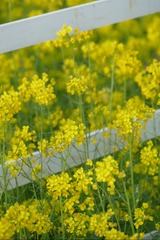 8FB9670F-913F-43C5-A9EA-ED7729BB8EA1/L0/001
