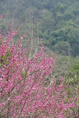 FA27DBE8-2418-4B43-A6FE-CAAE4ABE6FF5/L0/001