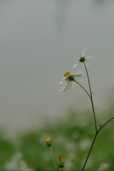 0FE79C53-765E-45D7-ADB6-0AFDAE9C36AE/L0/001