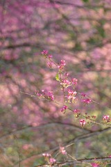 C6D984D8-0F70-475C-ADFD-71F6CB402A03/L0/001