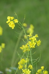549A67DB-4402-42EE-A154-5E3775AE2948/L0/001