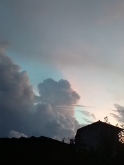 66