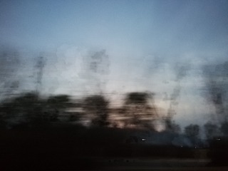 2623539